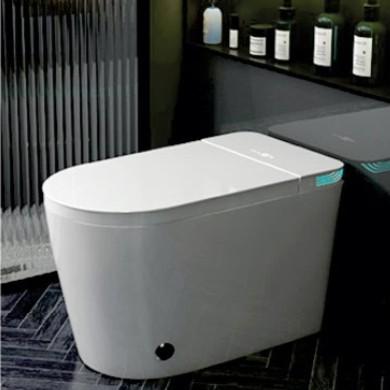 Bồn cầu thông minh CTM-01 cao cấp